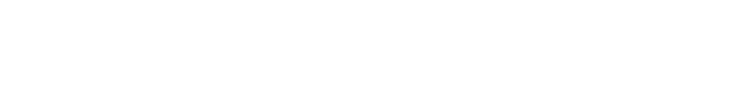 Bosa Political Party